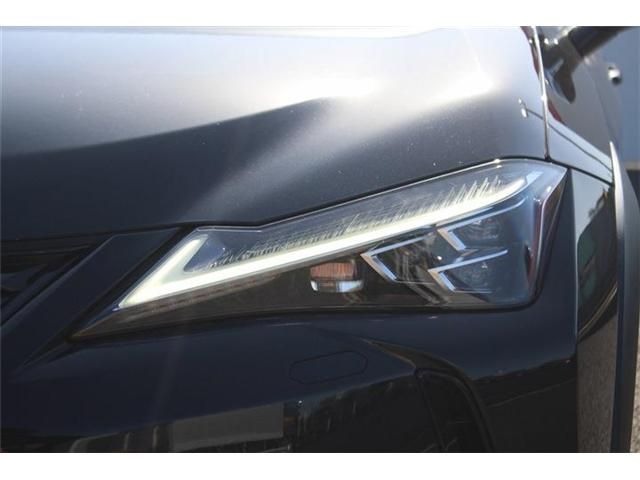 TOYOTA LEXUS UX250h 2020