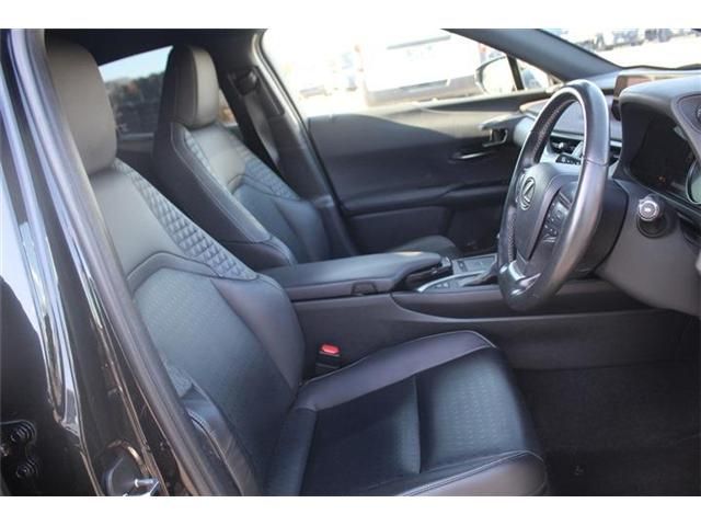 TOYOTA LEXUS UX250h 2020