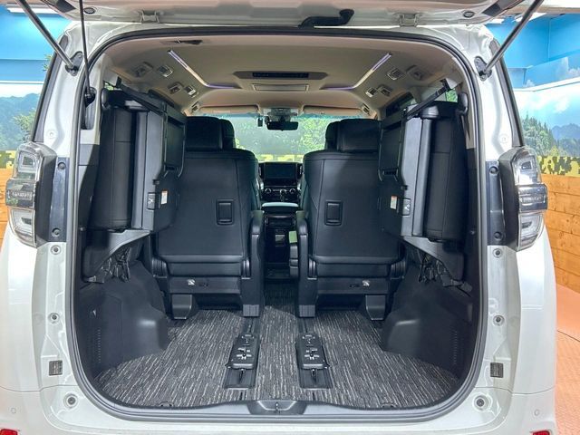 TOYOTA VELLFIRE 2019