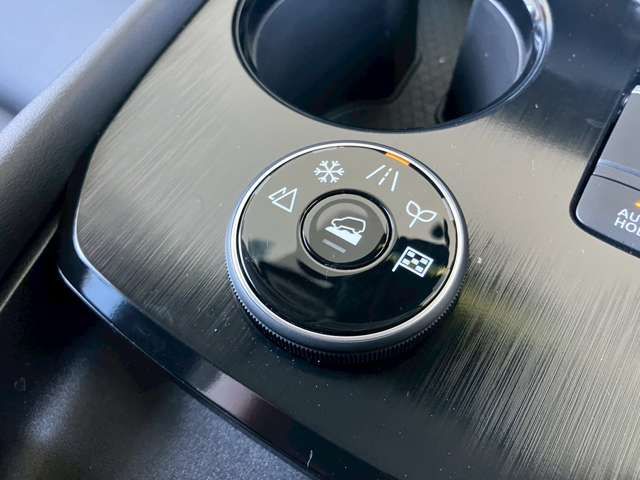 NISSAN X-TRAIL HYBRID 4WD 2022