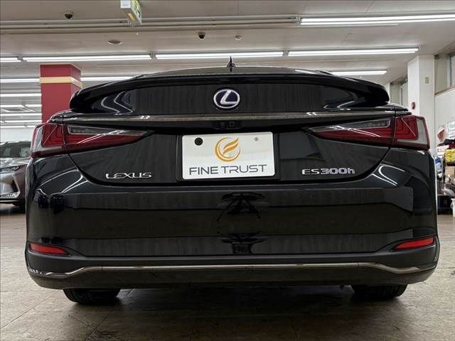 TOYOTA LEXUS ES300h 2020