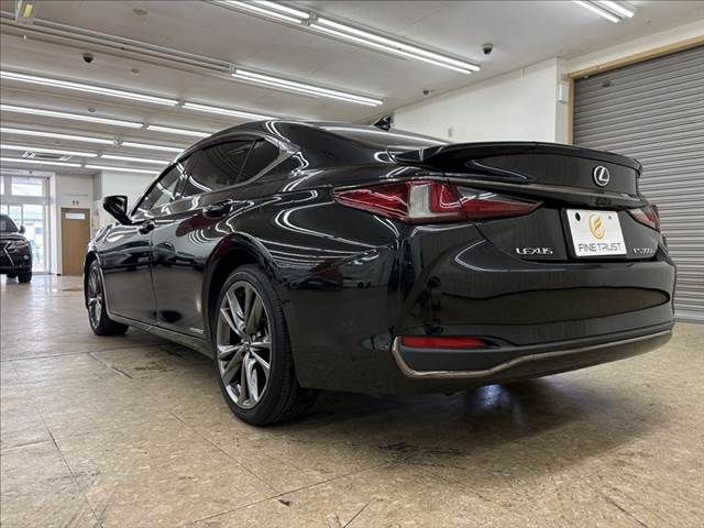TOYOTA LEXUS ES300h 2020