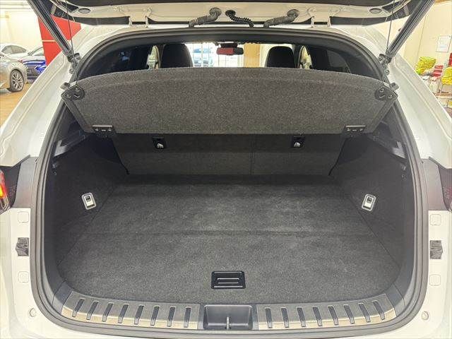 TOYOTA LEXUS NX300h 2018