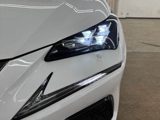 TOYOTA LEXUS NX300h 2018