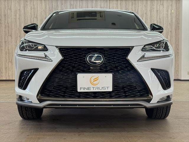TOYOTA LEXUS NX300h 2018