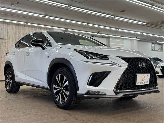 TOYOTA LEXUS NX300h 2018