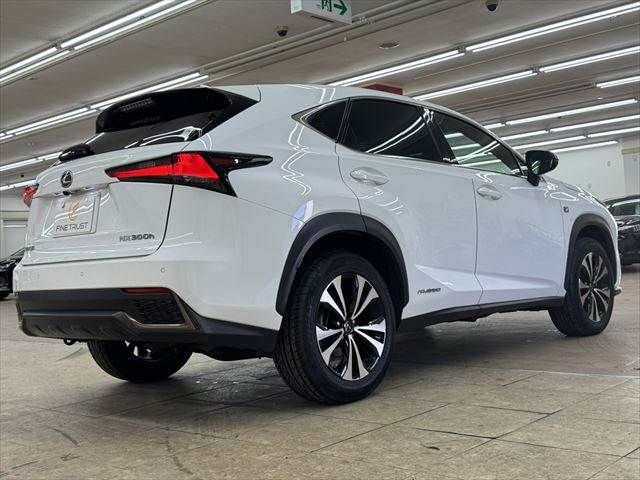 TOYOTA LEXUS NX300h 2018