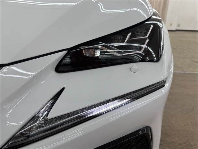 TOYOTA LEXUS NX300h 2018