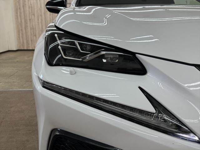 TOYOTA LEXUS NX300h 2018