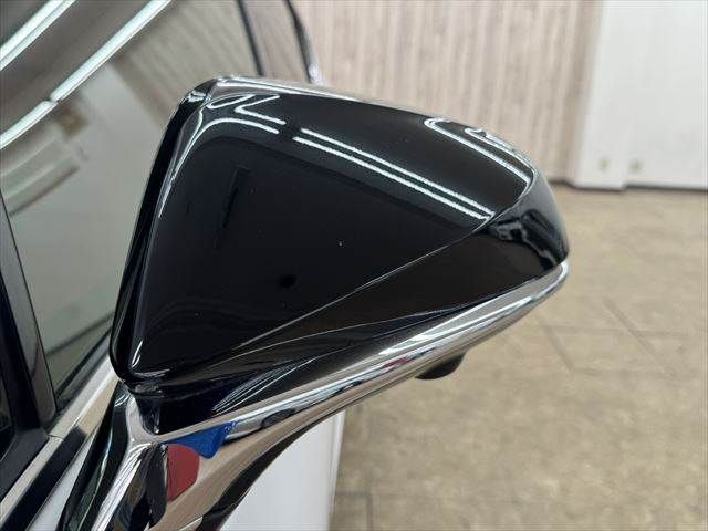 TOYOTA LEXUS NX300h 2018