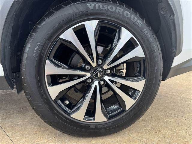 TOYOTA LEXUS NX300h 2018