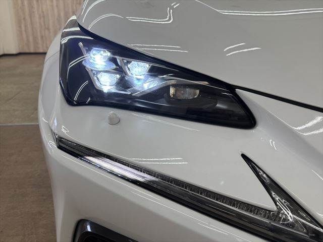 TOYOTA LEXUS NX300h 2018