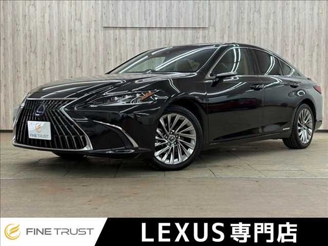 TOYOTA LEXUS ES300h 2021