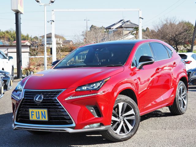 TOYOTA LEXUS NX300h 2021
