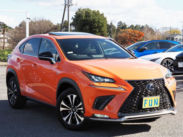 TOYOTA LEXUS NX300h 2021