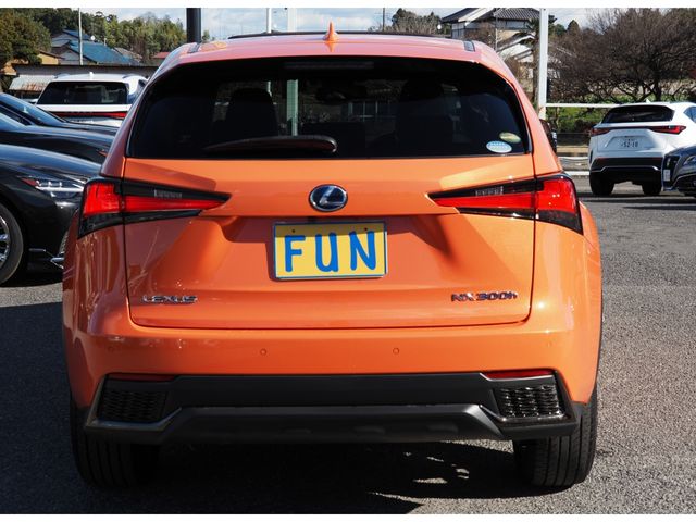 TOYOTA LEXUS NX300h 2021