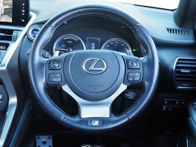 TOYOTA LEXUS NX300h 2021