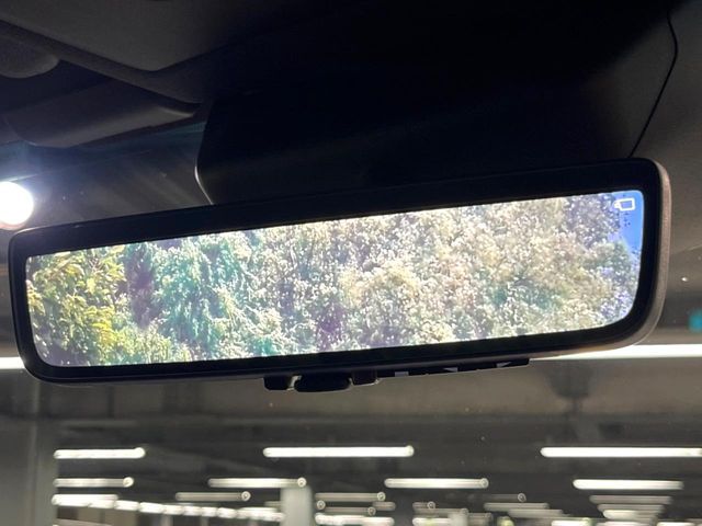 TOYOTA LANDCRUISER 250 2024