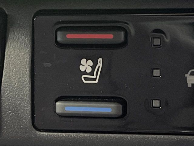 TOYOTA RAV4 4WD 2024