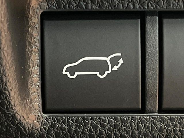 TOYOTA RAV4 4WD 2024