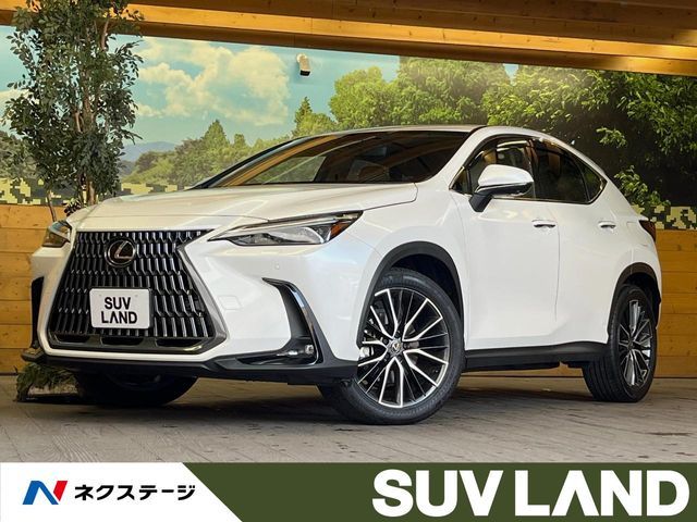 TOYOTA LEXUS NX250 2023