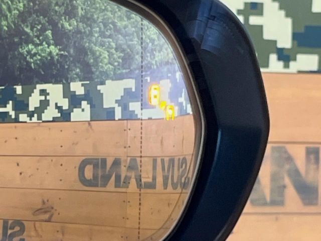 TOYOTA LEXUS NX250 2023