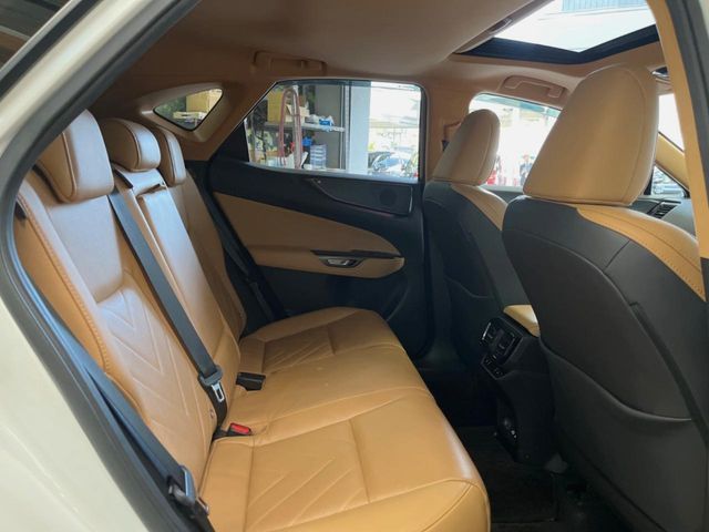 TOYOTA LEXUS NX250 2023