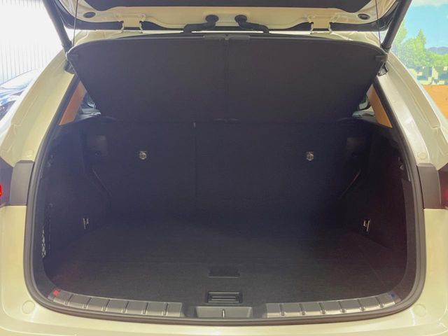 TOYOTA LEXUS NX250 2023