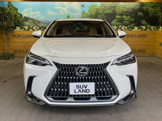 TOYOTA LEXUS NX250 2023