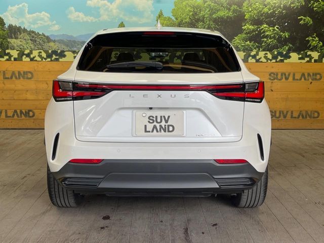 TOYOTA LEXUS NX250 2023