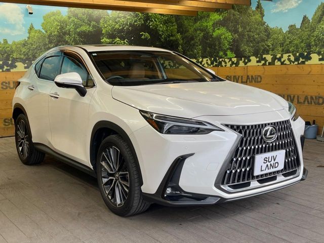 TOYOTA LEXUS NX250 2023