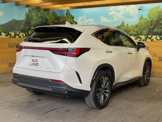 TOYOTA LEXUS NX250 2023