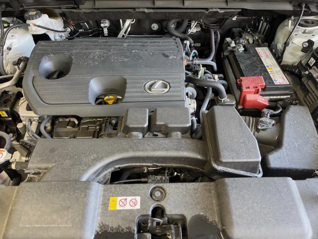 TOYOTA LEXUS NX250 2023