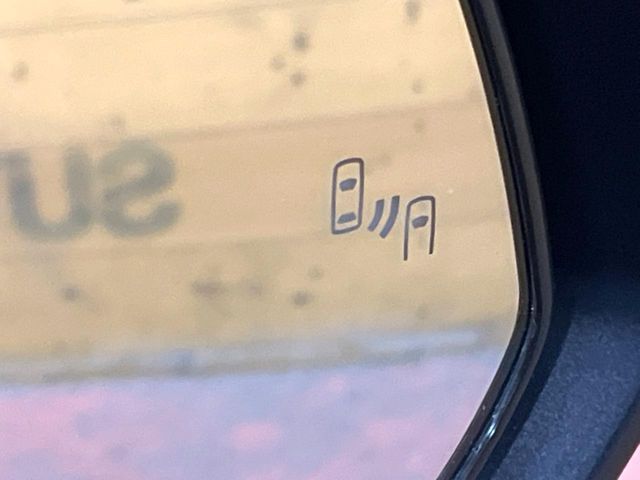 TOYOTA NOAH HYBRID 2024