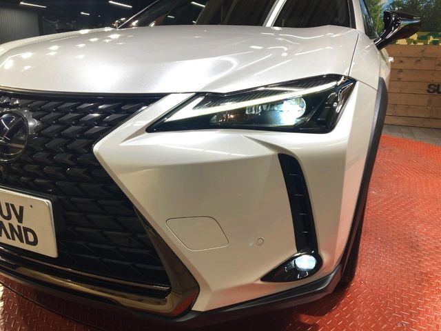 TOYOTA LEXUS UX250h 2021