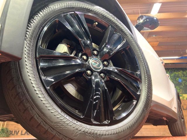 TOYOTA LEXUS UX250h 2021