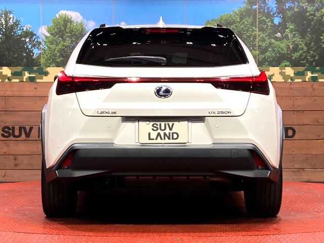 TOYOTA LEXUS UX250h 2021