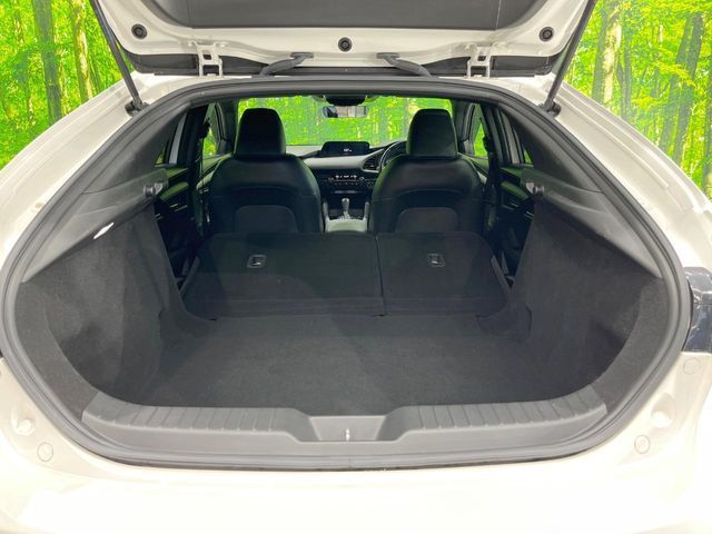 MAZDA MAZDA3 FASTBACK 2019