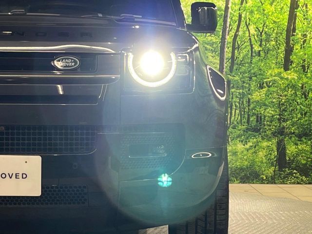 ROVER ROVER DEFENDER 2024