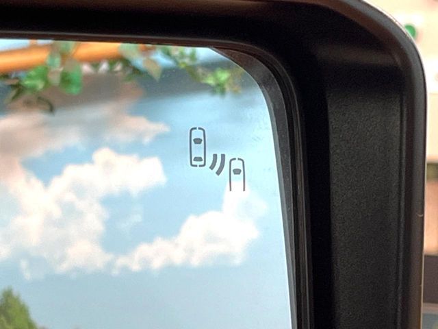 TOYOTA LANDCRUISER 250 2024