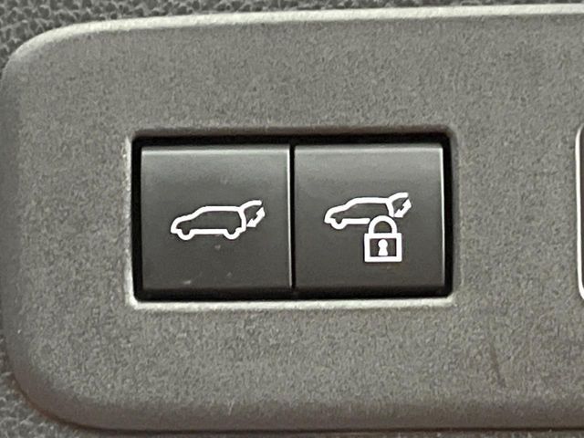 TOYOTA LANDCRUISER 250 2024