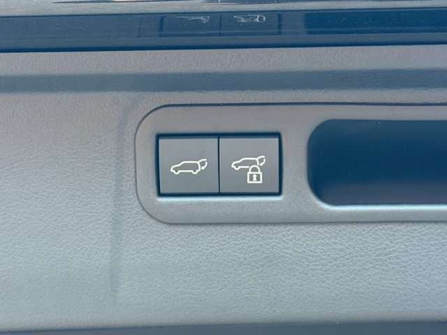 TOYOTA ???? LM500h 2024