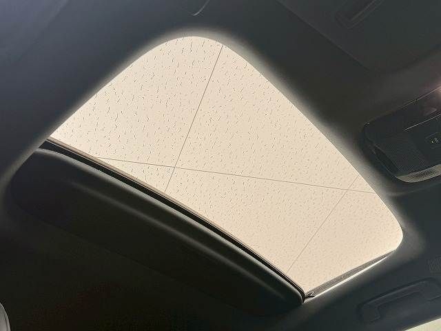 TOYOTA LEXUS RX500h 2023