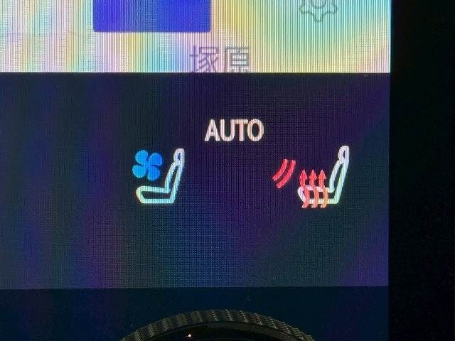 TOYOTA LEXUS RX500h 2023