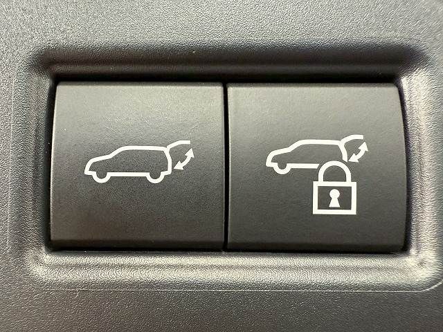 TOYOTA LEXUS RX500h 2023