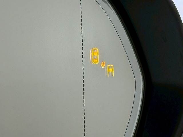 TOYOTA LEXUS RX500h 2023