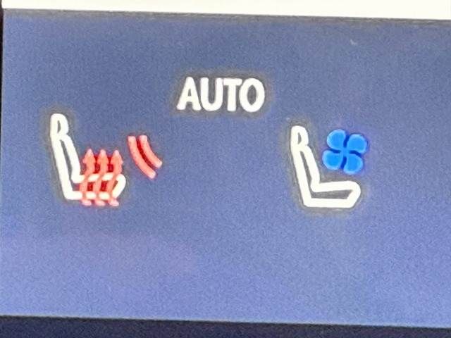 TOYOTA LEXUS RX500h 2023