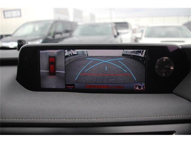 TOYOTA LEXUS UX250h 2019