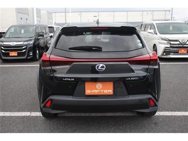 TOYOTA LEXUS UX250h 2019
