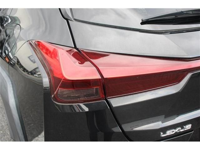 TOYOTA LEXUS UX250h 2019